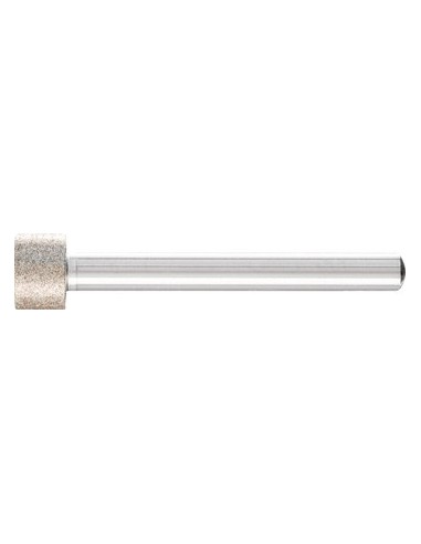 Ściernica trzpieniowa