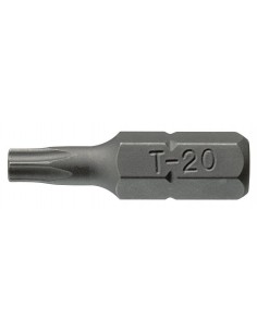 Grot typu TX TX40 długość 25 mm (100 szt.)